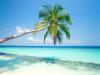 Tropical Island, Maldives